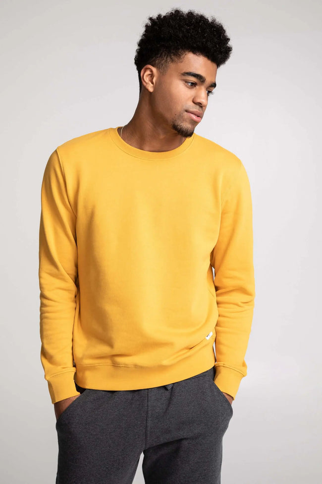 Chandail Unisexe Coton Ouaté Doux Col Rond Uni Confort Optimal Style Intemporel Sans Logo Moutarde Main Image