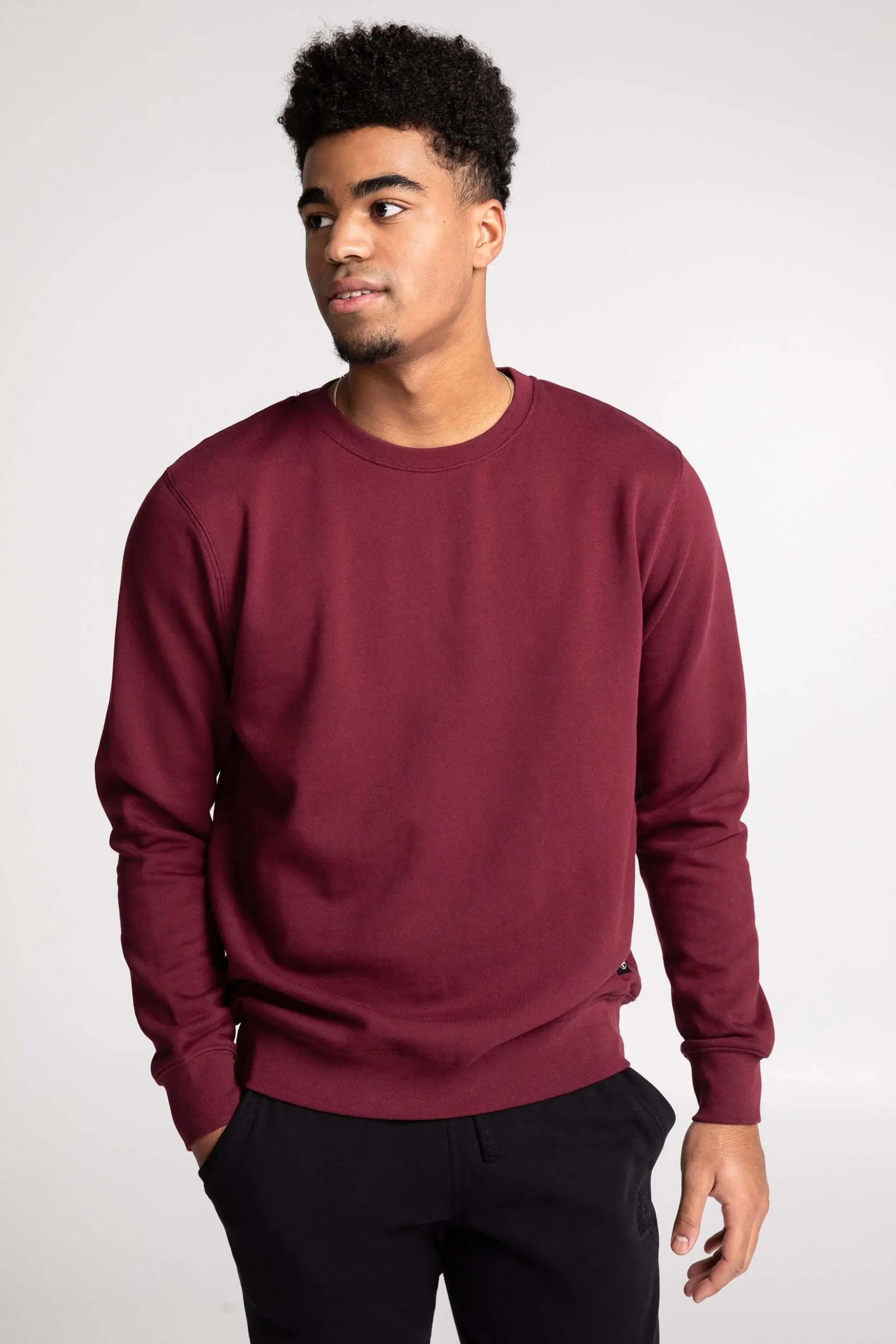 Chandail Unisexe Coton Ouaté Doux Col Rond Uni Confort Optimal Style Intemporel Sans Logo